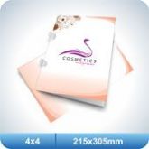 500 Pastas Com Orelha/Vinco - 215x305mm