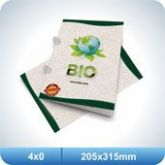 25 Pastas Com Orelha - 215x305mm