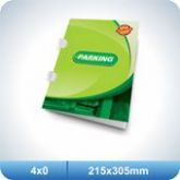 1.000 Pastas Com Orelha/Vinco - 215x305mm