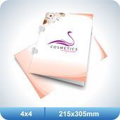 500 Pastas Com Orelha/Vinco - 215x305mm