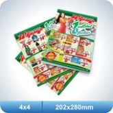 10.000 Flyers - 202x280mm