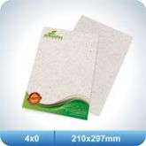 500 Papeis Timbrado - 210x297mm